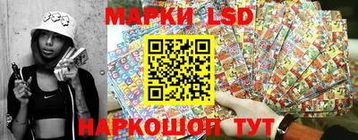 мдпв Бийск