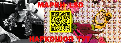 мдпв Бийск