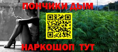 мдпв Бийск