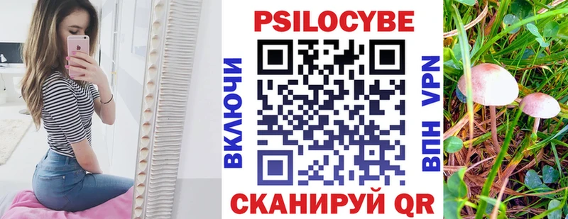 где купить наркотик  Кушва  Псилоцибиновые грибы GOLDEN TEACHER 