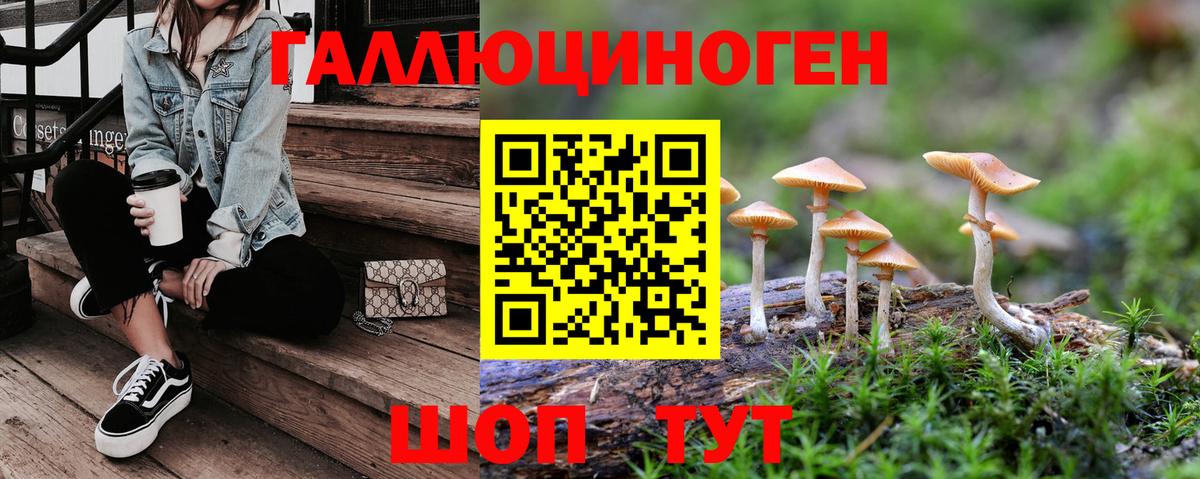 Псилоцибиновые грибы Psilocybe Кушва