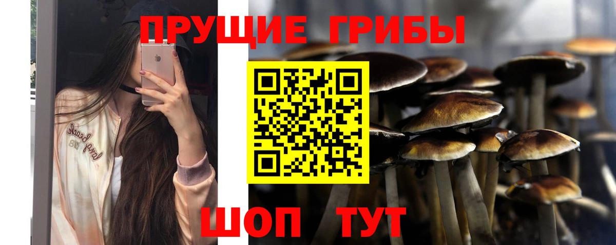 Кушва  Псилоцибиновые грибы мухоморы  Вход с VPN  Галлюциногенные грибы мухоморы 